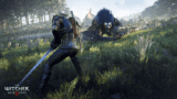 The Witcher 3 wild hunt