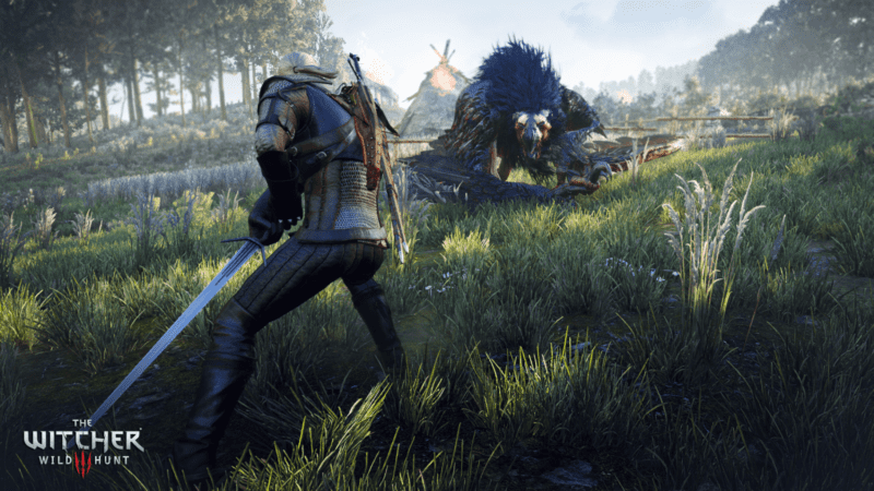 The Witcher 3 wild hunt