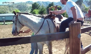 Caindo do cavalo