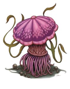 fungus-violet